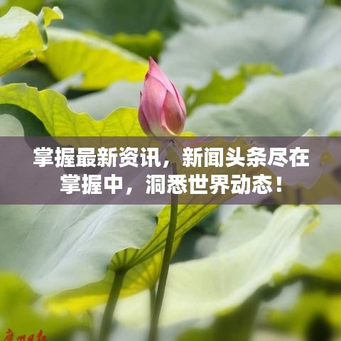 掌握最新資訊，新聞?lì)^條盡在掌握中，洞悉世界動(dòng)態(tài)！