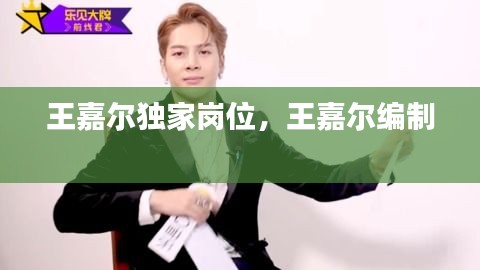 王嘉爾獨家崗位，王嘉爾編制 
