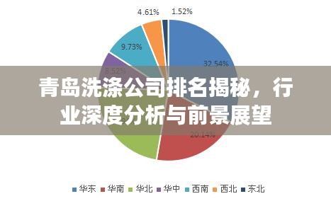青島洗滌公司排名揭秘，行業(yè)深度分析與前景展望