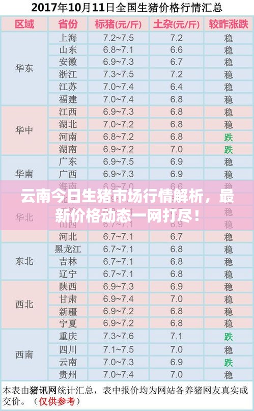 云南今日生豬市場行情解析，最新價格動態(tài)一網(wǎng)打盡！