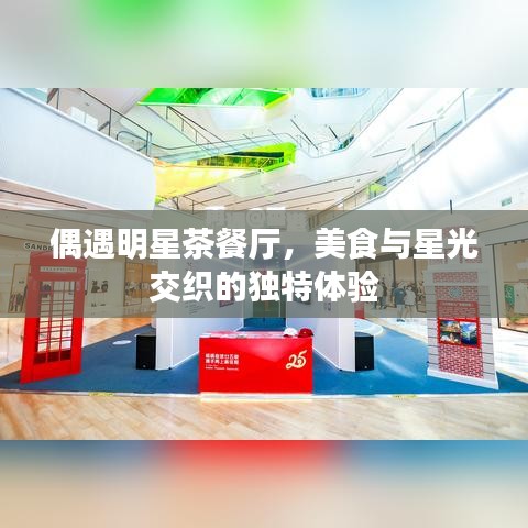 偶遇明星茶餐廳，美食與星光交織的獨(dú)特體驗(yàn)