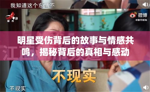 明星受傷背后的故事與情感共鳴，揭秘背后的真相與感動(dòng)