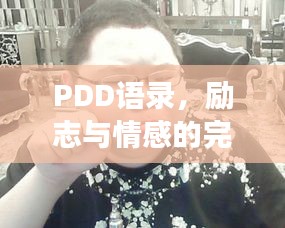 PDD語錄，勵(lì)志與情感的完美交融之道