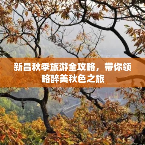 新昌秋季旅游全攻略，帶你領(lǐng)略醉美秋色之旅