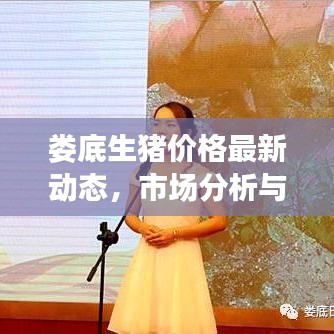 婁底生豬價(jià)格最新動(dòng)態(tài)，市場(chǎng)分析與趨勢(shì)預(yù)測(cè)