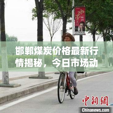 邯鄲煤炭價格最新行情揭秘，今日市場動態(tài)分析