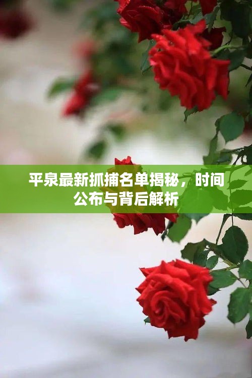 平泉最新抓捕名單揭秘，時(shí)間公布與背后解析