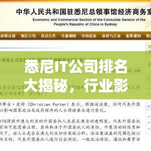 悉尼IT公司排名大揭秘，行業(yè)影響力深度解析
