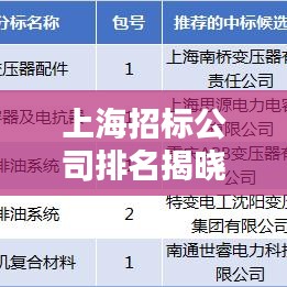 上海招標(biāo)公司排名揭曉，行業(yè)影響力大揭秘！