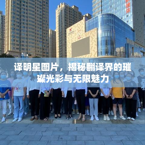譯明星圖片，揭秘翻譯界的璀璨光彩與無(wú)限魅力