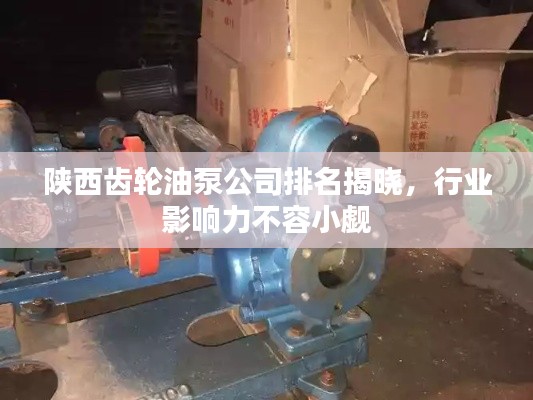 陜西齒輪油泵公司排名揭曉，行業(yè)影響力不容小覷