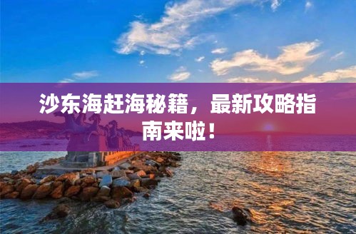 沙東海趕海秘籍，最新攻略指南來啦！