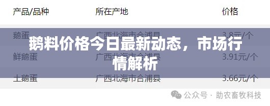 鵝料價格今日最新動態(tài)，市場行情解析