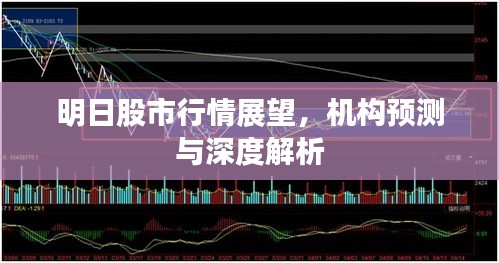 明日股市行情展望，機構(gòu)預(yù)測與深度解析