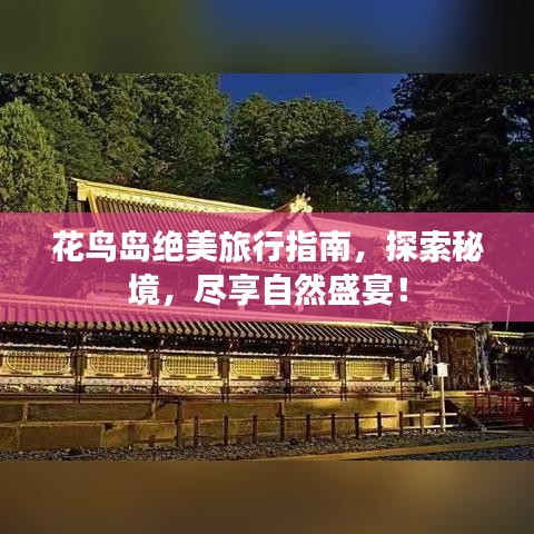 花鳥島絕美旅行指南，探索秘境，盡享自然盛宴！