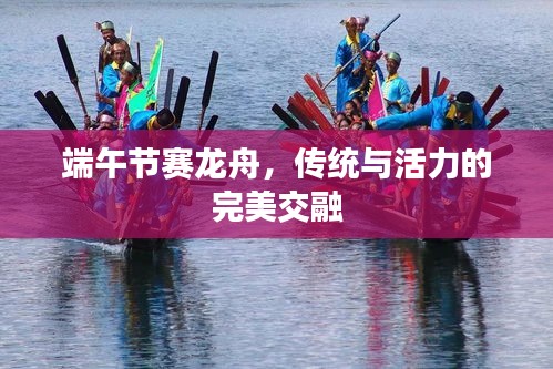 端午節(jié)賽龍舟，傳統(tǒng)與活力的完美交融