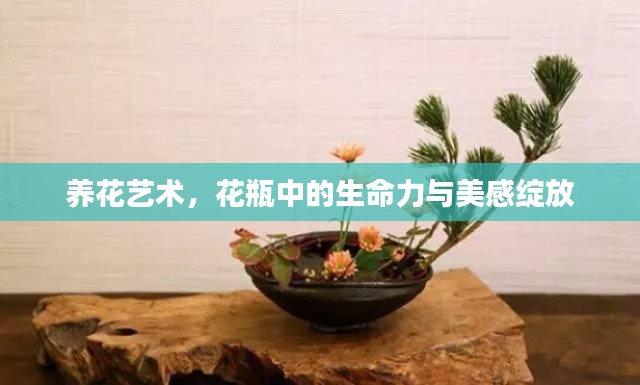 養(yǎng)花藝術(shù)，花瓶中的生命力與美感綻放