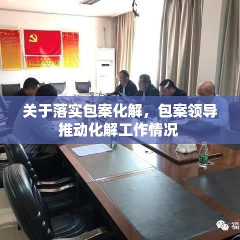關于落實包案化解，包案領導推動化解工作情況 