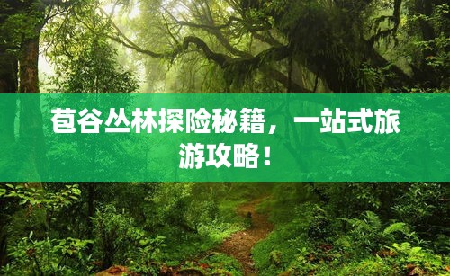 苞谷叢林探險秘籍，一站式旅游攻略！