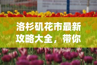 洛杉磯花市最新攻略大全，帶你暢游花海世界！