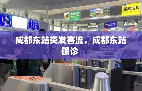 成都東站突發(fā)客流，成都東站確診 