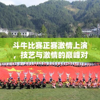 斗牛比賽正賽激情上演，技藝與激情的巔峰對決