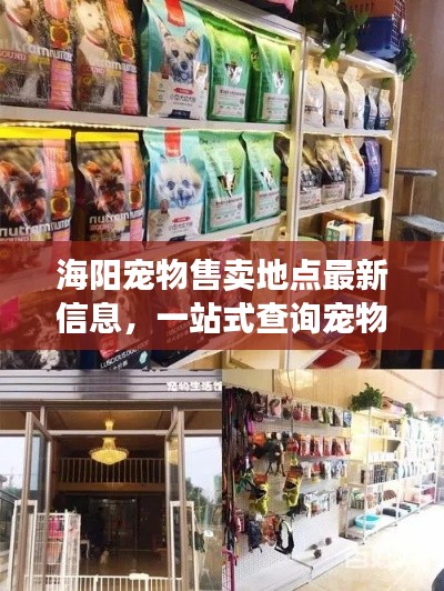 海陽寵物售賣地點最新信息，一站式查詢寵物愛好者福音