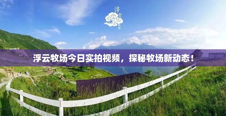 浮云牧場今日實(shí)拍視頻，探秘牧場新動態(tài)！