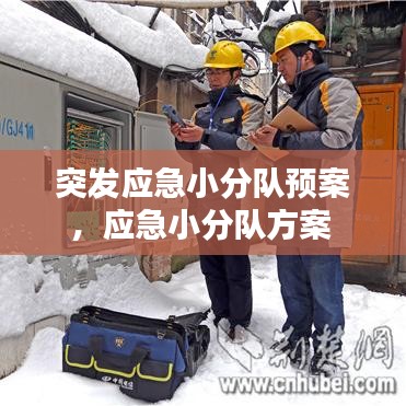 突發(fā)應急小分隊預案，應急小分隊方案 