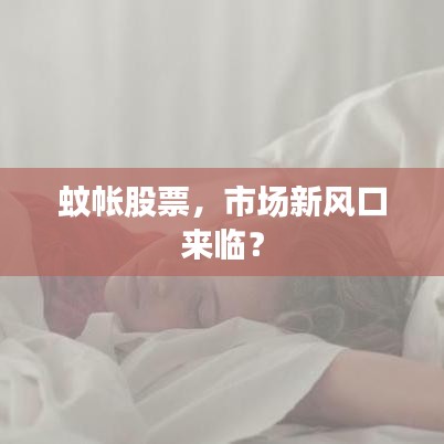 蚊帳股票，市場(chǎng)新風(fēng)口來(lái)臨？