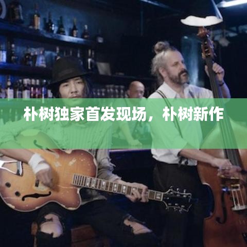 樸樹獨(dú)家首發(fā)現(xiàn)場(chǎng)，樸樹新作 
