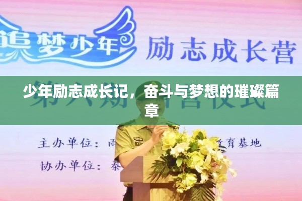 少年勵志成長記，奮斗與夢想的璀璨篇章