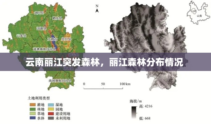 云南麗江突發(fā)森林，麗江森林分布情況 