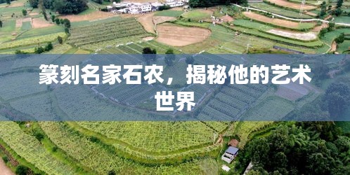 篆刻名家石農(nóng)，揭秘他的藝術(shù)世界