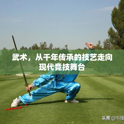 武術(shù)，從千年傳承的技藝走向現(xiàn)代競技舞臺