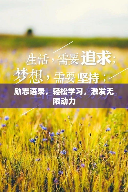 勵志語錄，輕松學(xué)習(xí)，激發(fā)無限動力