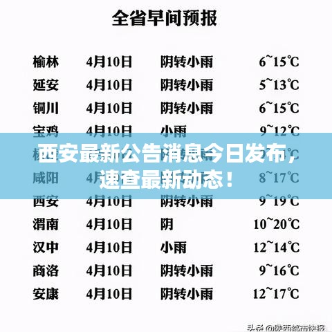 西安最新公告消息今日發(fā)布，速查最新動態(tài)！