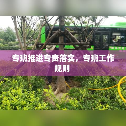 專班推進(jìn)專責(zé)落實(shí)，專班工作規(guī)則 