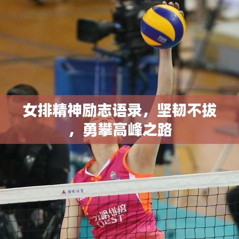 女排精神勵志語錄，堅韌不拔，勇攀高峰之路
