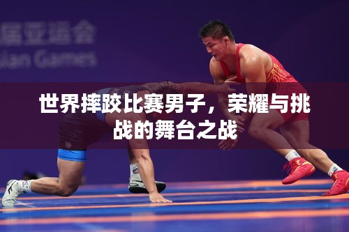 世界摔跤比賽男子，榮耀與挑戰(zhàn)的舞臺之戰(zhàn)