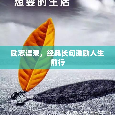 勵(lì)志語錄，經(jīng)典長(zhǎng)句激勵(lì)人生前行