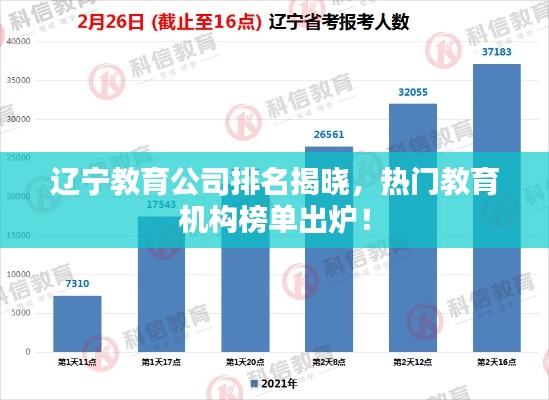 遼寧教育公司排名揭曉，熱門教育機構(gòu)榜單出爐！