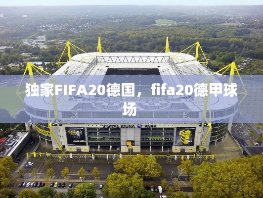 獨家FIFA20德國，fifa20德甲球場 