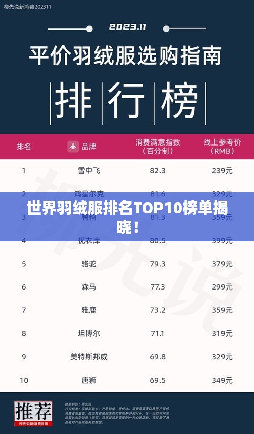 世界羽絨服排名TOP10榜單揭曉！