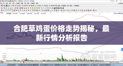 合肥草雞蛋價格走勢揭秘，最新行情分析報告