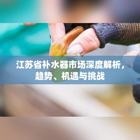 江蘇省補(bǔ)水器市場深度解析，趨勢、機(jī)遇與挑戰(zhàn)