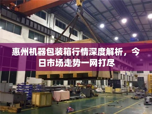 惠州機(jī)器包裝箱行情深度解析，今日市場(chǎng)走勢(shì)一網(wǎng)打盡