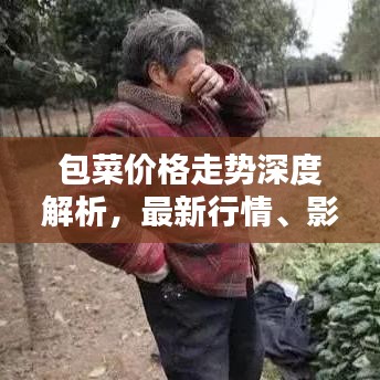 包菜價(jià)格走勢深度解析，最新行情、影響因素及預(yù)測