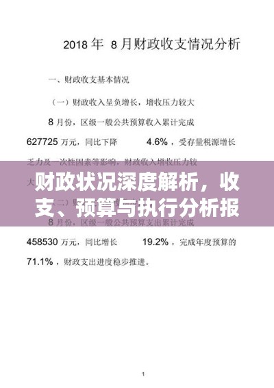 財(cái)政狀況深度解析，收支、預(yù)算與執(zhí)行分析報(bào)告