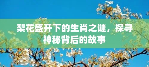 梨花盛開下的生肖之謎，探尋神秘背后的故事